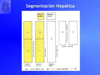 Segmentación Hepática 