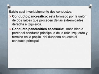 Existe casi invariablemente dos conductos:
 Conducto pancreático: esta formado por la unión
de dos raíces que proceden de las extremidades
derecha e izquierda.
 Conducto pancreático accesorio: nace bien a
partir del conducto principal o de la raíz izquierda y
termina en la papila del duodeno opuesta al
conducto principal.
 