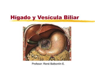 Hígado y Vesícula Biliar
Profesor: René Balbontín E.
 