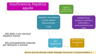 Insuficiencia hepática 
aguda Ingestión 
Se debe a una necrosis 
hepática masiva 
Es principalmente inducida 
por fármac...