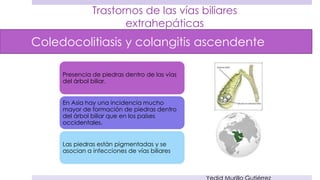 Coledocolitiasis y colangitis ascendente 
Puede ser asintomática o causar síntomas por: 
Obstrucción 
Pancreatitis 
Colang...