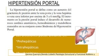 HIPERTENSIÓN PORTAL 
Las afecciones puede dividirse en: 
*Prehepáticas 
*Intrahepáticas 
*Posthepáticas Herrera Guerrero B...