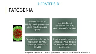 PATOGENIA 
HEPATITIS D 
Portador crónico de 
HBsAg puede presentarse 
como hepatitis aguda 
grave 
Fase aguda con 
replica...