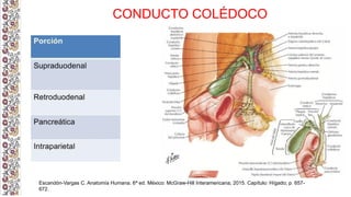 HIGADO Y VIAS BILIARES ANATOMIA CIRUGIA.pptx