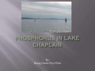 Phosphorus in Lake Chaplain By: Being Green Pays Firm 