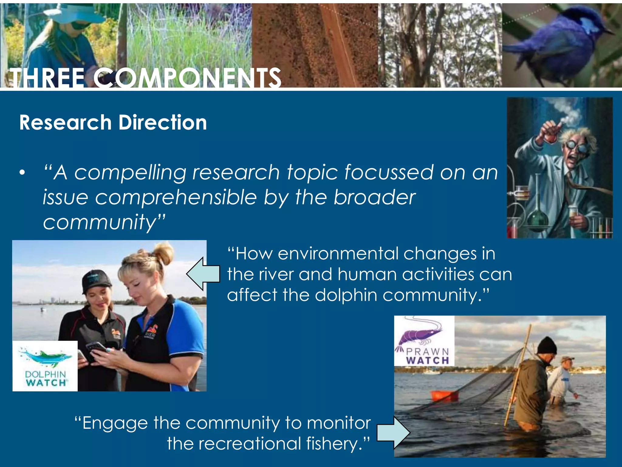 THREE COMPONENTS
Research Direction
• “A compelling research topic focussed on an
issue comprehensible by the broader
community”
“How environmental changes in
the river and human activities can
affect the dolphin community.”
“Engage the community to monitor
the recreational fishery.”
 
