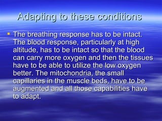 Adapting to these conditions  The breathing response has to be intact. The blood response, particularly at high altitude, has to be intact so that the blood can carry more oxygen and then the tissues have to be able to utilize the low oxygen better. The mitochondria, the small capillaries in the muscle beds, have to be augmented and all those capabilities have to adapt.  