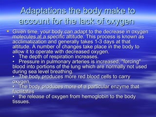 Adaptations the body make to account for the lack of oxygen  Given time, your body can adapt to the decrease in oxygen molecules at a specific altitude. This process is known as acclimatization and generally takes 1-3 days at that altitude. A number of changes take place in the body to allow it to operate with decreased oxygen.  •   The depth of respiration increases.  •   Pressure in pulmonary arteries is increased, "forcing" blood into portions of the lung which are normally not used during sea level breathing.  •   The body produces more red blood cells to carry oxygen,  •   The body produces more of a particular enzyme that facilitates  •   the release of oxygen from hemoglobin to the body tissues.  