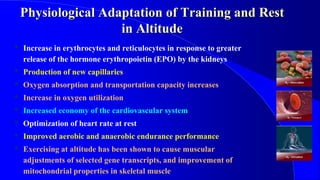Physiological Adaptation of Training and Rest
in Altitude
• Increase in erythrocytes and reticulocytes in response to greater
release of the hormone erythropoietin (EPO) by the kidneys
• Production of new capillaries
• Oxygen absorption and transportation capacity increases
• Increase in oxygen utilization
• Increased economy of the cardiovascular system
• Optimization of heart rate at rest
• Improved aerobic and anaerobic endurance performance
• Exercising at altitude has been shown to cause muscular
adjustments of selected gene transcripts, and improvement of
mitochondrial properties in skeletal muscle 5
 