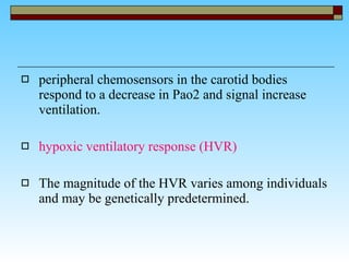 peripheral chemosensors in the carotid bodies respond to a decrease in Pao2 and signal increase ventilation.  hypoxic ventilatory response (HVR) The magnitude of the HVR varies among individuals and may be genetically predetermined.  