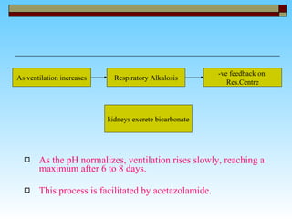 As the pH normalizes, ventilation rises slowly, reaching a maximum after 6 to 8 days.  This process is facilitated by acetazolamide.  As ventilation increases Respiratory Alkalosis -ve feedback on  Res.Centre kidneys excrete bicarbonate 
