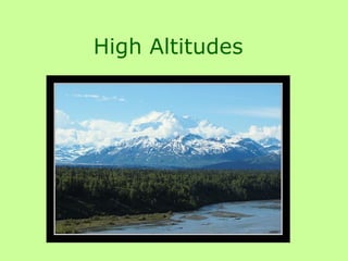 High Altitudes 