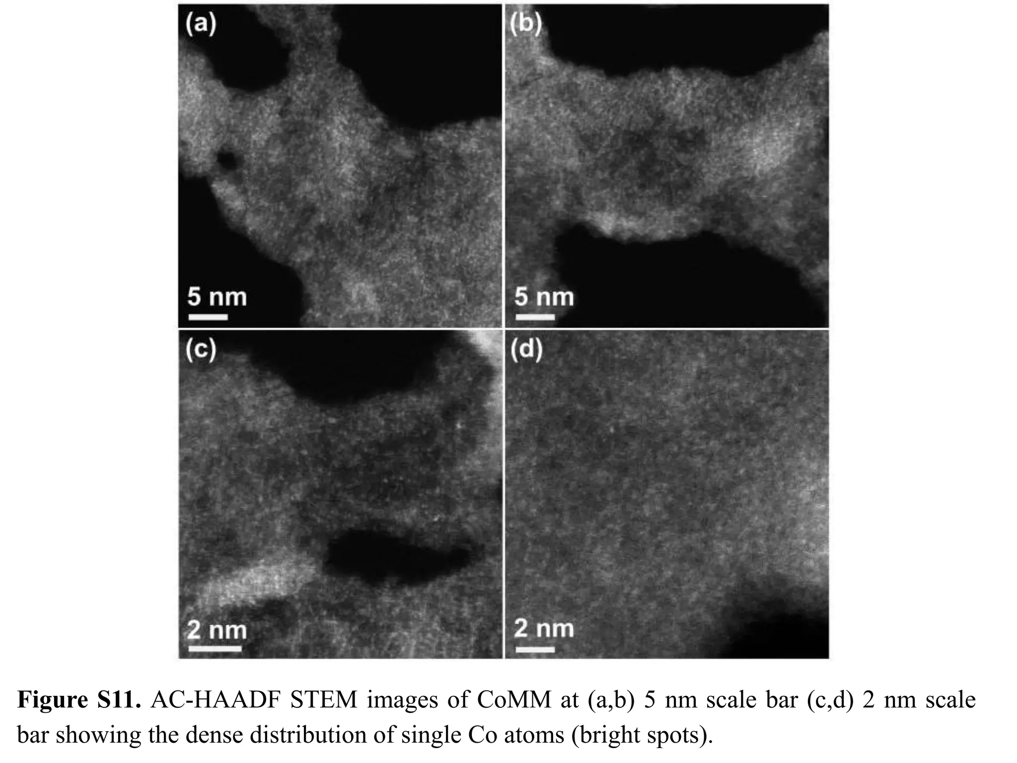 High-Density Cobalt Single-Atom Catalysts for Enhanced Oxygen Evolution ...