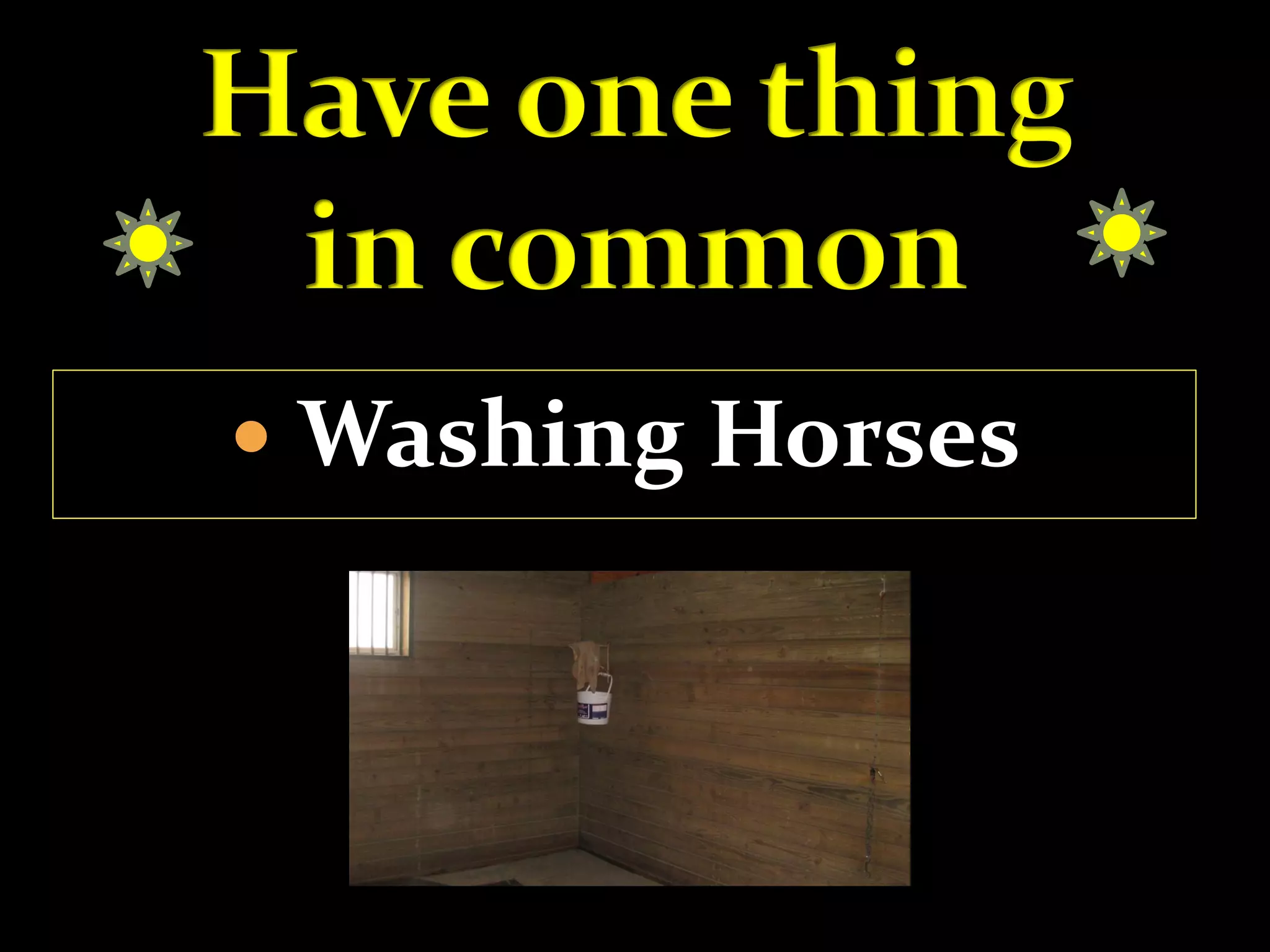  Washing Horses
 