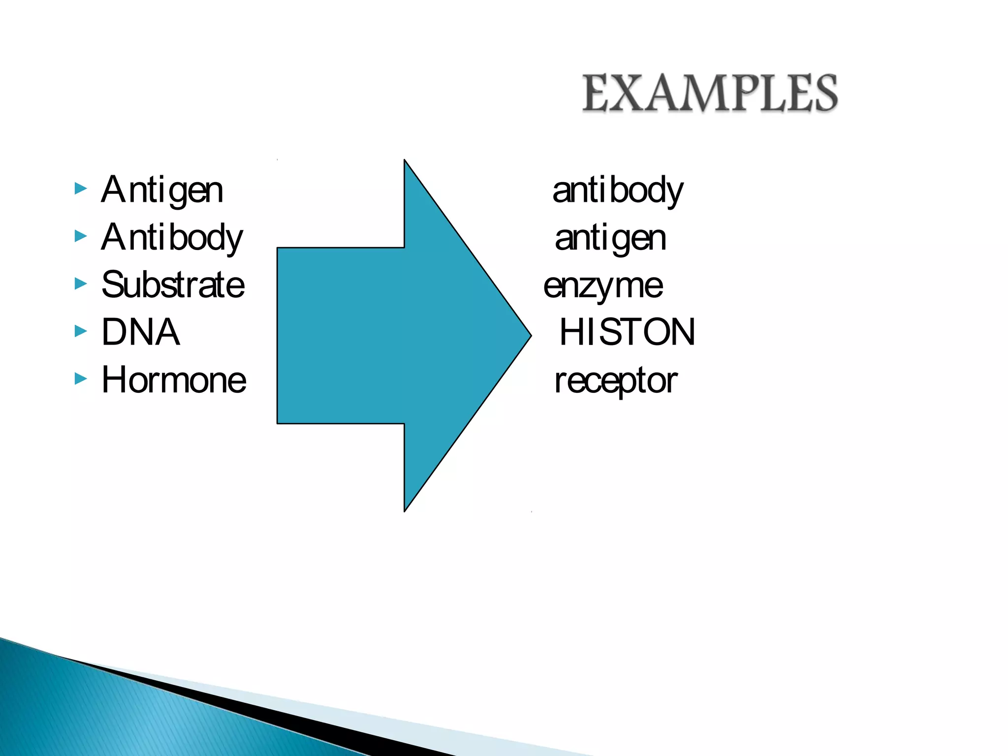  Antigen antibody
 Antibody antigen
 Substrate enzyme
 DNA HISTON
 Hormone receptor
 