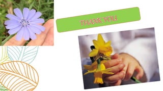 High-Performance Liquid Chromatography (HPLC) ppt.pptx