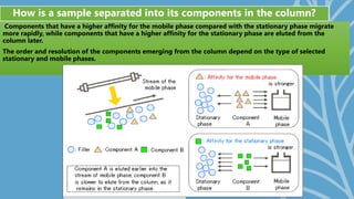 Components that have a higher affinity for the mobile phase compared with the stationary phase migrate
more rapidly, while components that have a higher affinity for the stationary phase are eluted from the
column later.
The order and resolution of the components emerging from the column depend on the type of selected
stationary and mobile phases.
How is a sample separated into its components in the column?
 