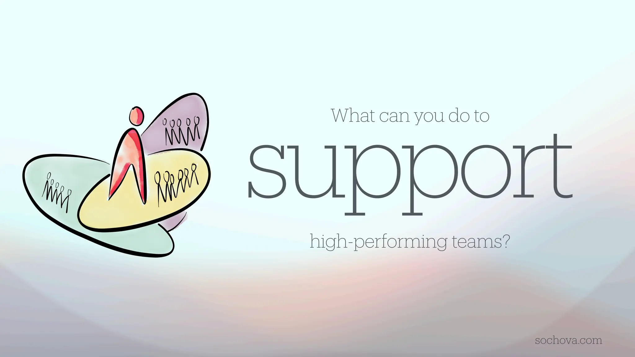 support
high-performing teams?
sochova.com
What can you do to
 