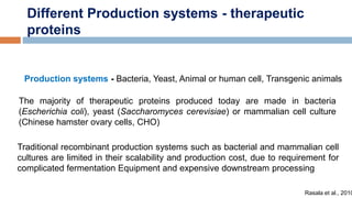 High yield production of therapeutic proteins in chloroplast | PPTX