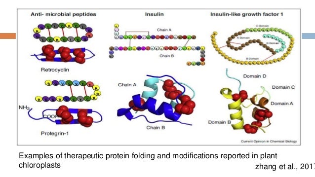 production of therapeutic proteins production of therapeutic proteins