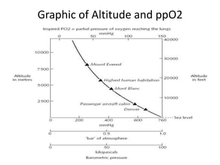 Graphic of Altitude and ppO2
 