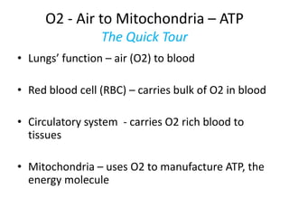 O2 - Air to Mitochondria – ATP
                 The Quick Tour
• Lungs’ function – air (O2) to blood

• Red blood cell (RBC) – carries bulk of O2 in blood

• Circulatory system - carries O2 rich blood to
  tissues

• Mitochondria – uses O2 to manufacture ATP, the
  energy molecule
 
