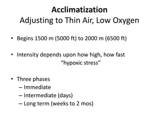 Acclimatization
   Adjusting to Thin Air, Low Oxygen
• Begins 1500 m (5000 ft) to 2000 m (6500 ft)

• Intensity depends upon how high, how fast
                   “hypoxic stress”

• Three phases
   – Immediate
   – Intermediate (days)
   – Long term (weeks to 2 mos)
 