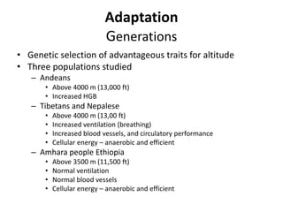 Adaptation
                            Generations
• Genetic selection of advantageous traits for altitude
• Three populations studied
   – Andeans
       • Above 4000 m (13,000 ft)
       • Increased HGB
   – Tibetans and Nepalese
       •   Above 4000 m (13,00 ft)
       •   Increased ventilation (breathing)
       •   Increased blood vessels, and circulatory performance
       •   Cellular energy – anaerobic and efficient
   – Amhara people Ethiopia
       •   Above 3500 m (11,500 ft)
       •   Normal ventilation
       •   Normal blood vessels
       •   Cellular energy – anaerobic and efficient
 