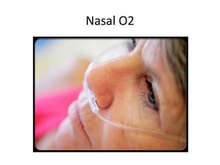 Nasal O2
 