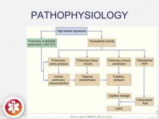PATHOPHYSIOLOGY
 