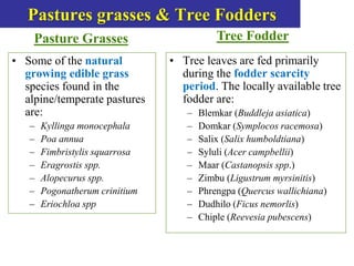 High altitude pasture management _ VPAUL.ppt