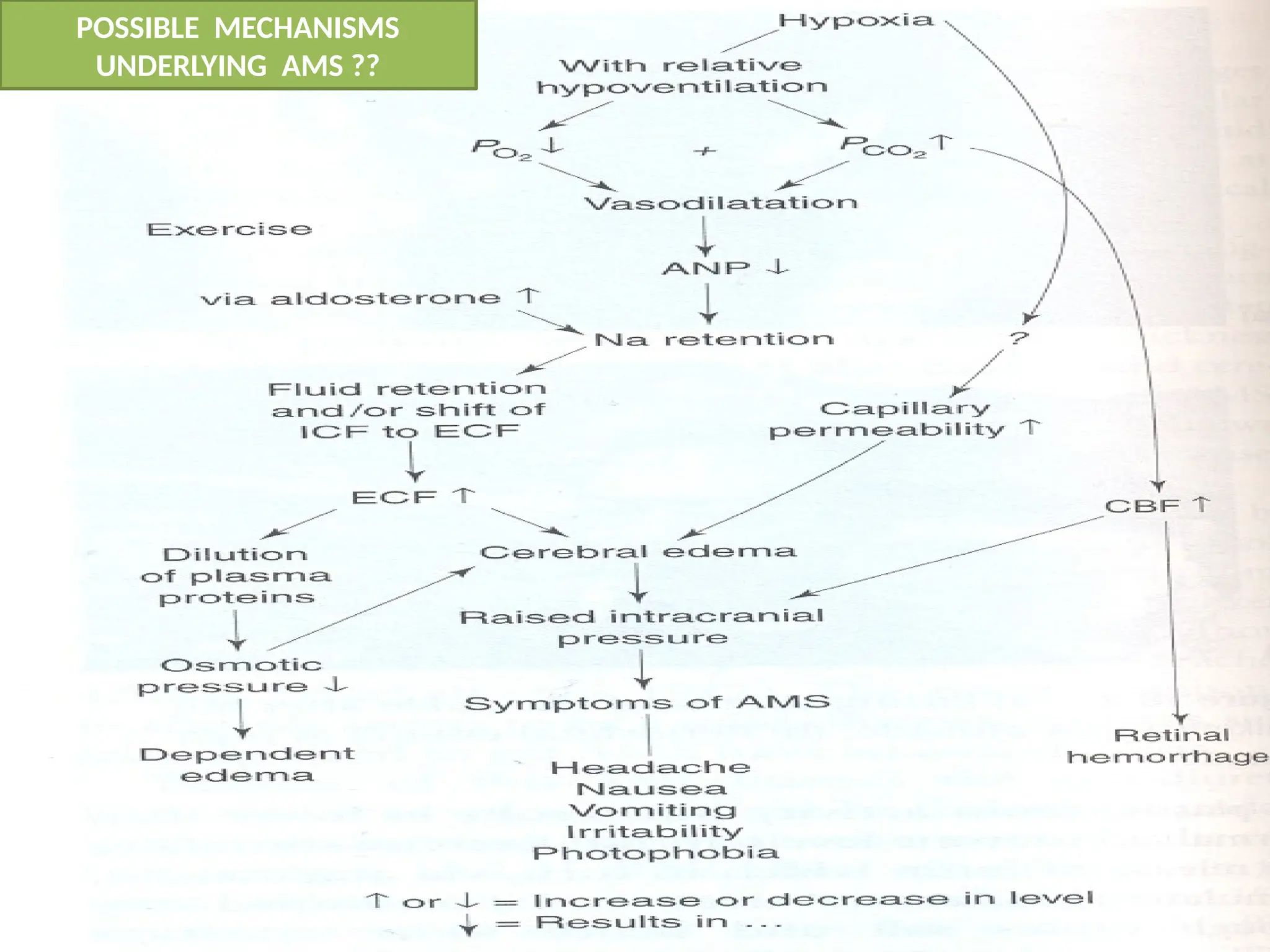High Altitude physiology and homeostasis | PPTX