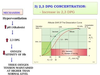 High Altitude physiology and homeostasis | PPTX