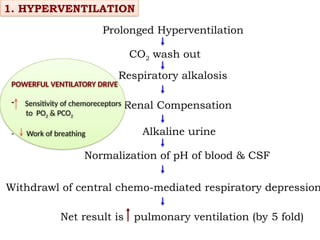 High Altitude physiology and homeostasis | PPTX