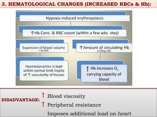 High Altitude physiology and homeostasis | PPTX
