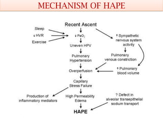 High Altitude physiology and homeostasis | PPTX