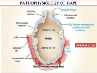 High Altitude physiology and homeostasis | PPTX