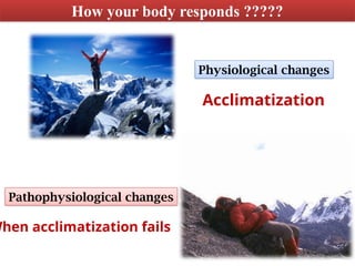 High Altitude physiology and homeostasis | PPTX