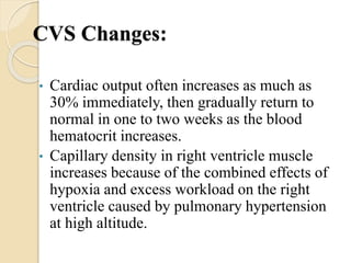 CVS Changes:
• Cardiac output often increases as much as
30% immediately, then gradually return to
normal in one to two weeks as the blood
hematocrit increases.
• Capillary density in right ventricle muscle
increases because of the combined effects of
hypoxia and excess workload on the right
ventricle caused by pulmonary hypertension
at high altitude.
 