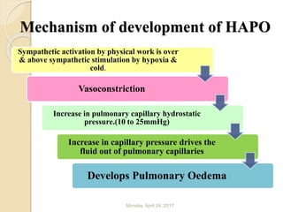 Mechanism of development of HAPO
Monday, April 24, 2017
Sympathetic activation by physical work is over
& above sympathetic stimulation by hypoxia &
cold.
Vasoconstriction
Increase in pulmonary capillary hydrostatic
pressure.(10 to 25mmHg)
Increase in capillary pressure drives the
fluid out of pulmonary capillaries
Develops Pulmonary Oedema
 