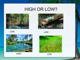 HIGH OR LOW?
LOW LOW
LOW
HIGH
 