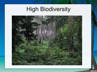 High Biodiversity
 