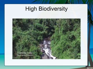 High Biodiversity
 
