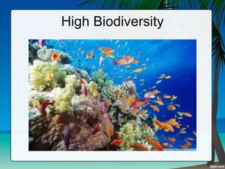 High Biodiversity
 
