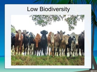 Low Biodiversity
 