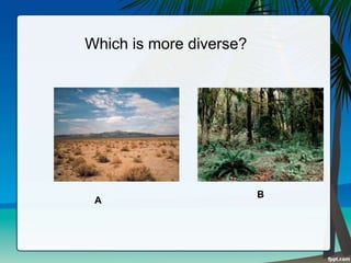 A
B
Which is more diverse?
 