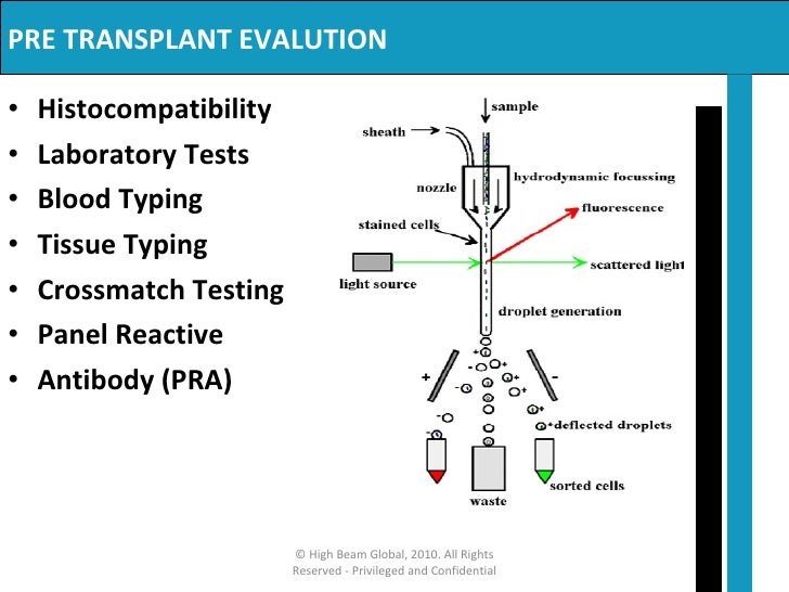 Renal Transplantation
