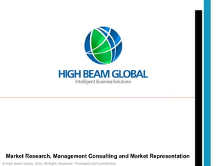 Market Research, Management Consulting and Market Representation © High Beam Global, 2010. All Rights Reserved - Privileged and Confidential 