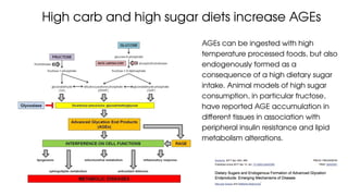 High carb vs. high fat diets and their physiological effects on the ...