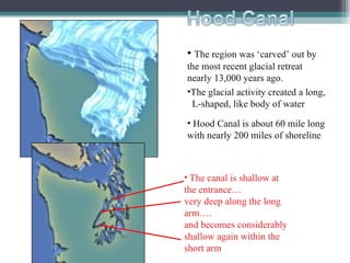 The canal is shallow at the entrance…  very deep along the long arm….  and becomes considerably shallow again within the short arm The region was ‘carved’ out by the most recent glacial retreat nearly 13,000 years ago. The glacial activity created a long,  L-shaped, like body of water Hood Canal is about 60 mile long with nearly 200 miles of shoreline 